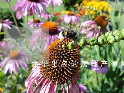 龙华出名的房地产律师哪家便宜 龙华出名的房地产律师哪家便宜