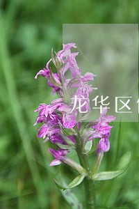龙华区侵害商业秘密纠纷律师推荐 龙华区侵害商业秘密纠纷律师推荐