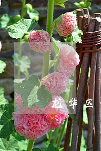龙华区债务合同律师电话免费咨询 龙华区债务合同律师电话免费咨询