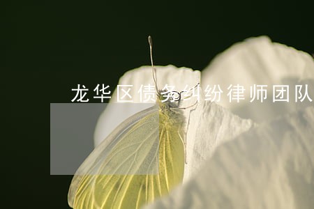 龙华区债务纠纷律师团队 龙华区债务纠纷律师团队
