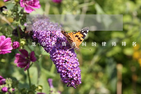 龙华区债务纠纷律师排名