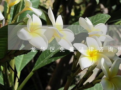 龙华区免费法律咨询热线