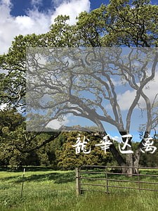 龙华区离婚官司律师委托流程