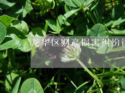 龙华区财产损害纠纷律师电话 龙华区财产损害纠纷律师电话