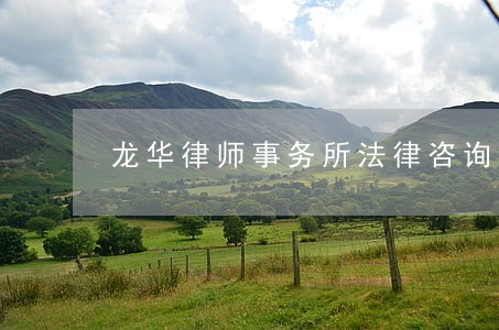 龙华律师事务所法律咨询