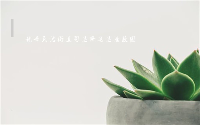 龙华民治街道司法所送法进校园 龙华民治街道司法所送法进校园