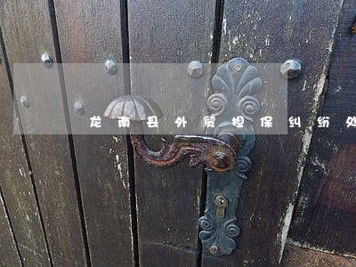 龙南县外贸担保纠纷处理律师 龙南县外贸担保纠纷处理律师