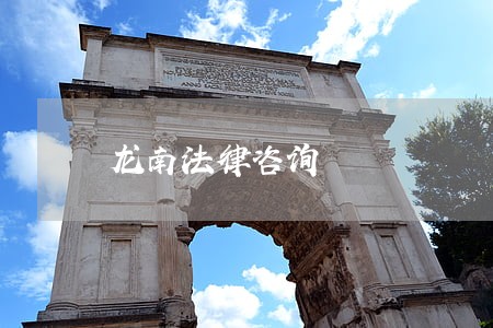 龙南法律咨询