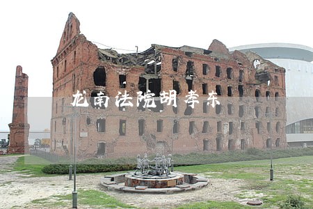 龙南法院胡孝东 龙南法院胡孝东