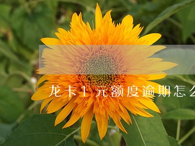 龙卡1元额度逾期怎么办 龙卡1元额度逾期怎么办