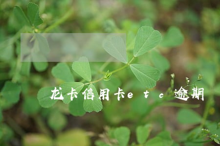 龙卡信用卡etc逾期 龙卡信用卡etc逾期