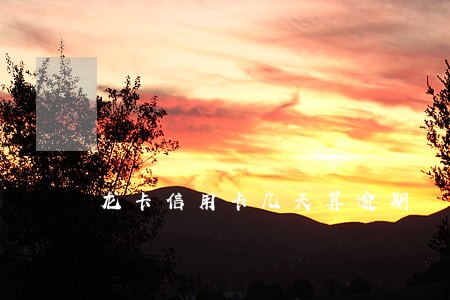 龙卡信用卡几天算逾期 龙卡信用卡几天算逾期