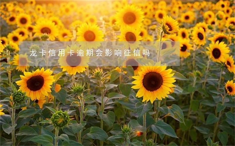 龙卡信用卡逾期会影响征信吗