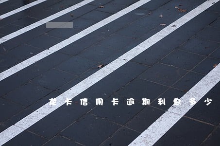 龙卡信用卡逾期利息多少 龙卡信用卡逾期利息多少
