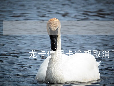 龙卡信用卡逾期取消了分期怎么还 龙卡信用卡逾期取消了分期怎么还