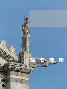龙卡信用卡逾期费多少钱 龙卡信用卡逾期费多少钱