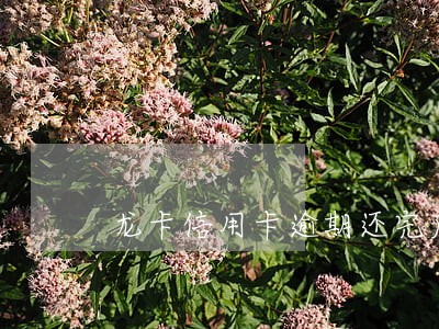 龙卡信用卡逾期还完后 龙卡信用卡逾期还完后