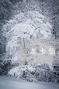 龙卡信用卡逾期还款后卡用不了 龙卡信用卡逾期还款后卡用不了