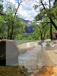 龙卡安心用3元一个月导致逾期 龙卡安心用3元一个月导致逾期