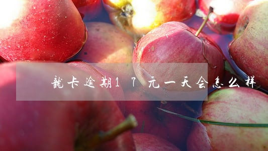 龙卡逾期17元一天会怎么样 龙卡逾期17元一天会怎么样