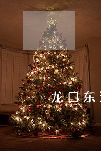 龙口东江街道损害赔偿律师 龙口东江街道损害赔偿律师