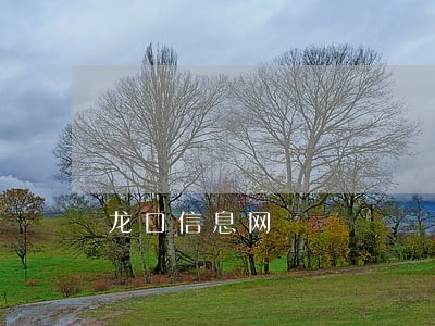 龙口信息网 龙口信息网