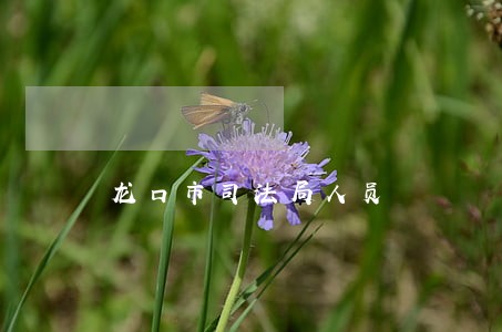 龙口市司法局人员 龙口市司法局人员