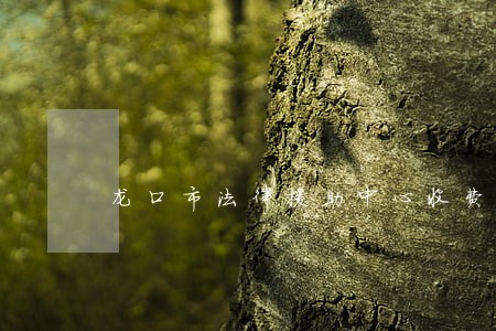龙口市法律援助中心收费 龙口市法律援助中心收费
