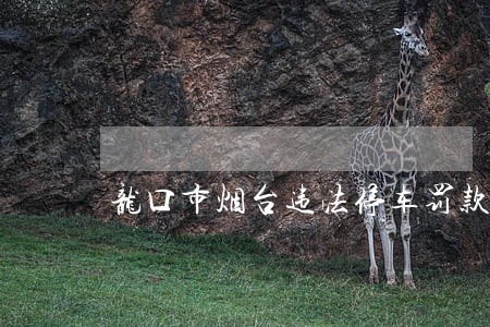 龙口市烟台违法停车罚款多少 龙口市烟台违法停车罚款多少