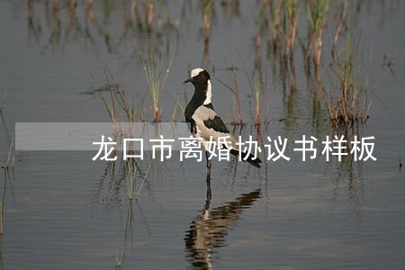龙口市离婚协议书样板 龙口市离婚协议书样板