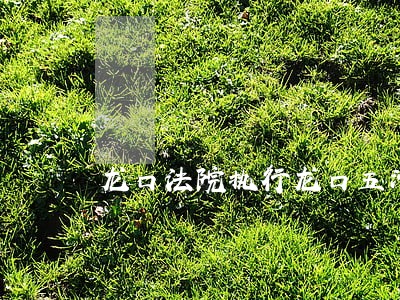 龙口法院执行龙口五洲国际情况 龙口法院执行龙口五洲国际情况