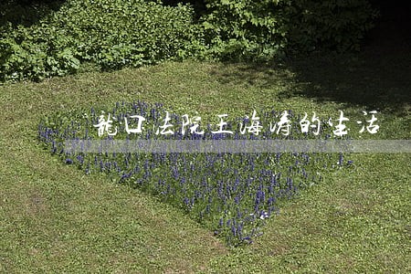 龙口法院王海涛的生活 龙口法院王海涛的生活