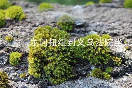 龙回杻纽到义乌法院坐几路车 龙回杻纽到义乌法院坐几路车