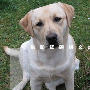 龙图法硕讲义pdf2020刑法