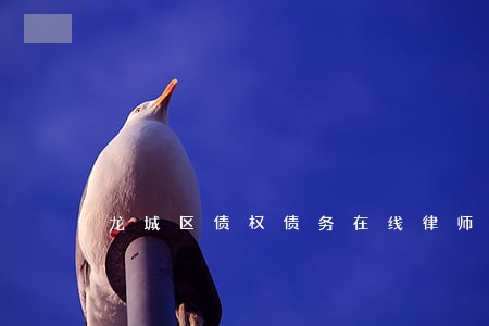 龙城区债权债务在线律师咨询 龙城区债权债务在线律师咨询