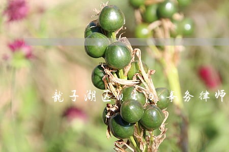 龙子湖区wto事务律师咨询电话 龙子湖区wto事务律师咨询电话