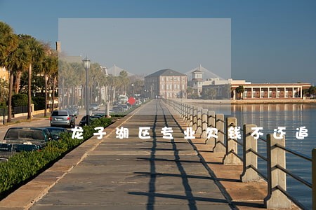 龙子湖区专业欠钱不还追讨律师 龙子湖区专业欠钱不还追讨律师