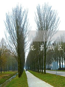 龙子湖区民间借贷法律咨询热线