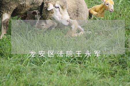 龙安区法院王永军