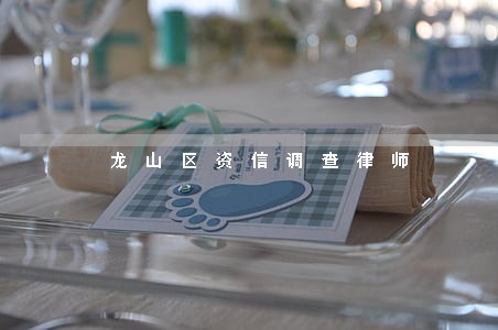 龙山区资信调查律师 龙山区资信调查律师