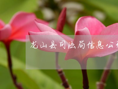 龙山县司法局信息公开指南 龙山县司法局信息公开指南
