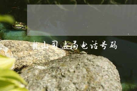 龙山司法局电话号码 龙山司法局电话号码