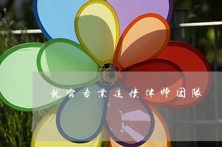 龙岗专业追债律师团队 龙岗专业追债律师团队