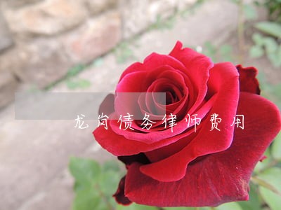 龙岗债务律师费用 龙岗债务律师费用