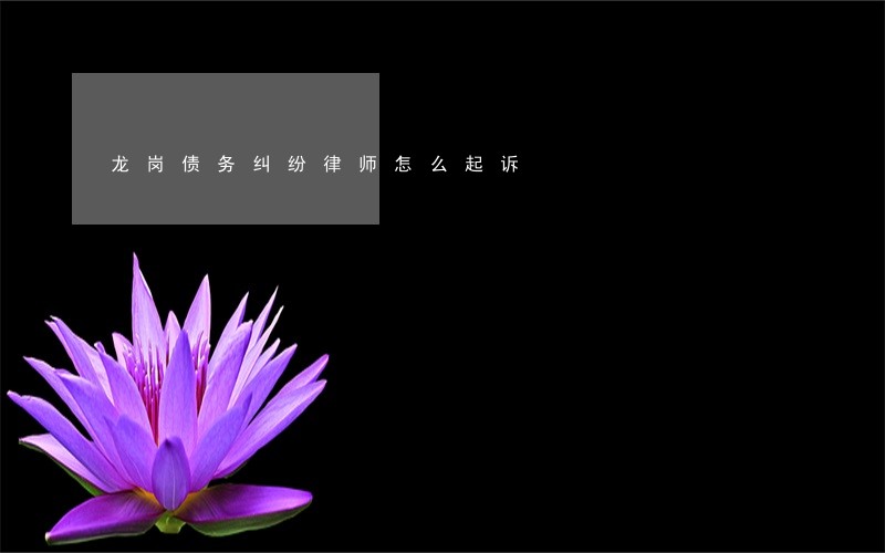 龙岗债务纠纷律师怎么起诉 龙岗债务纠纷律师怎么起诉