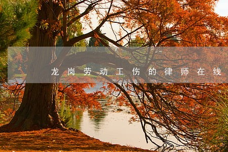 龙岗劳动工伤的律师在线 龙岗劳动工伤的律师在线