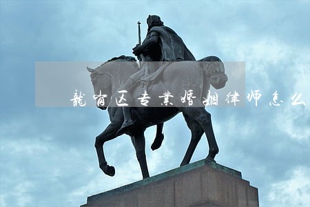 龙岗区专业婚姻律师怎么收费 龙岗区专业婚姻律师怎么收费