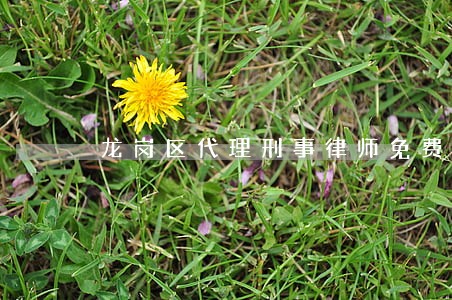 龙岗区代理刑事律师免费咨询 龙岗区代理刑事律师免费咨询