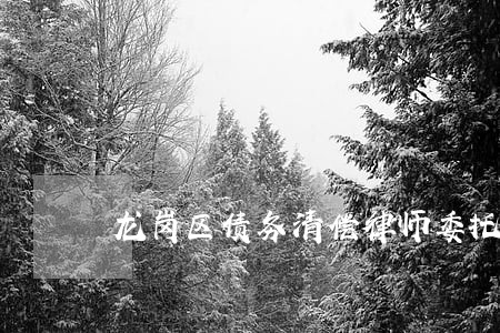 龙岗区债务清偿律师委托咨询 龙岗区债务清偿律师委托咨询