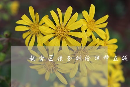龙岗区债务纠纷律师在线咨询 龙岗区债务纠纷律师在线咨询